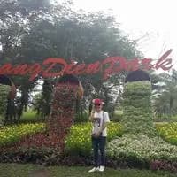 Linh Linh