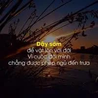 Đại Vỹ