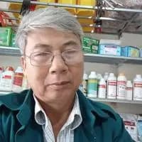 Cánh Đinh Quang