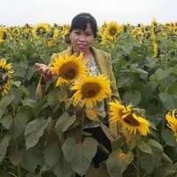 Nghĩa Nguyễn