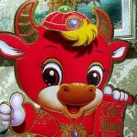 Bước Tiếp Một Mình