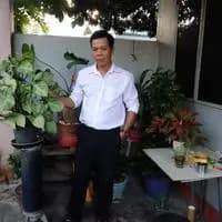 Lang Cường